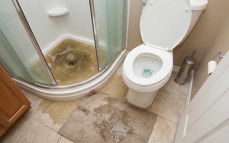 Signs Your Main Sewer Line is Backing Up